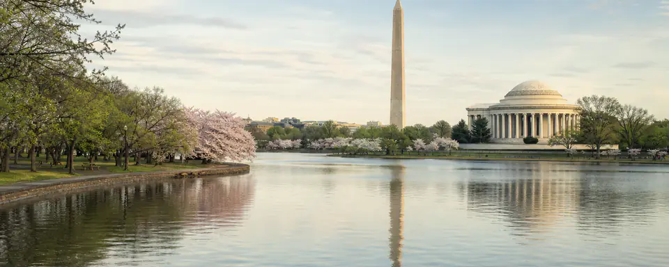 Illustrated panoramic view representing Washington, United States, in natural weather light