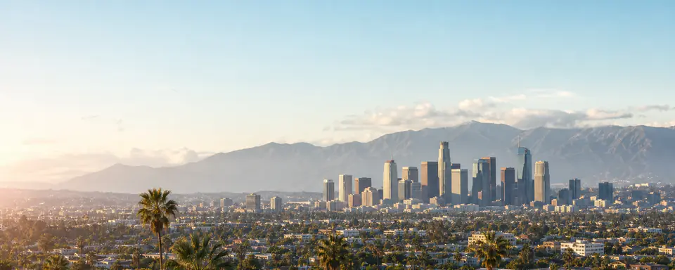 Illustrated panoramic view representing Los Angeles, United States, in natural weather light