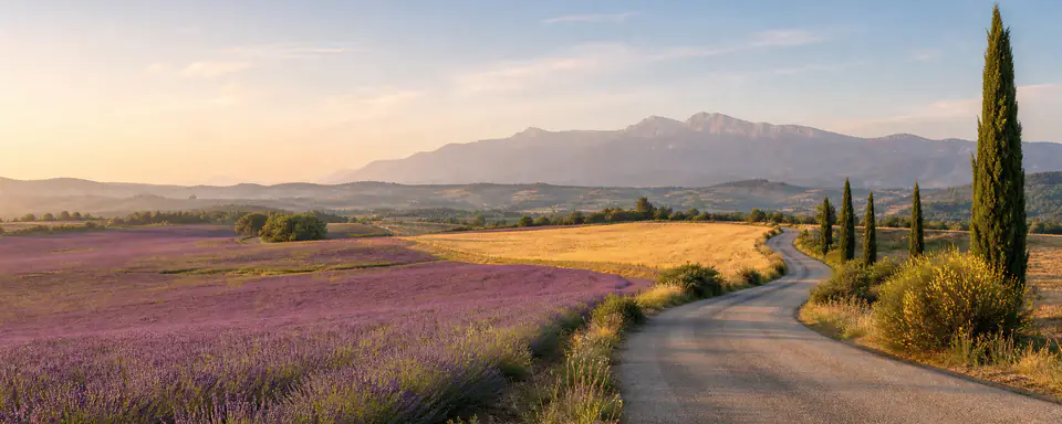 Illustrated French landscape with lavender fields, cypresses, and mountains in warm evening light