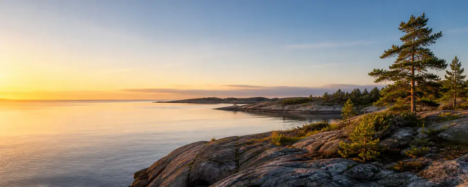 Illustrerat svenskt skärgårdslandskap med klippig kust, barrträd och varmt kvällsljus
